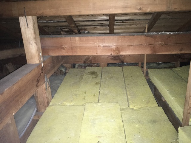 屋根裏の状態確認